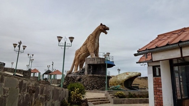 Dónde hospedarse en Puno, Perú - Alto Puno y Puma Uta