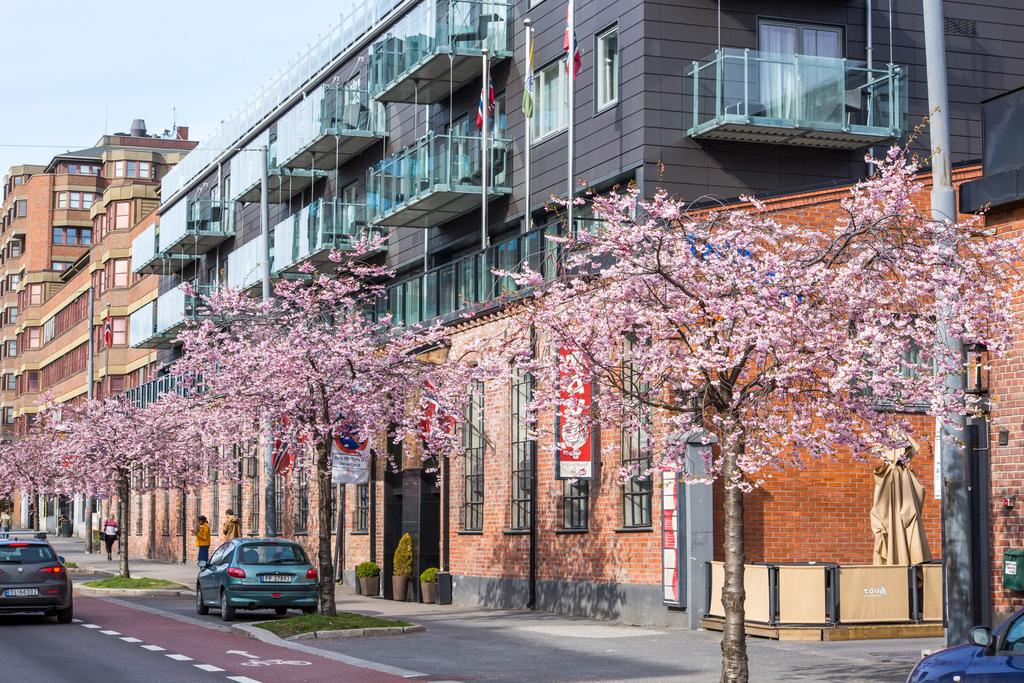 Mejores barrios donde alojarse en Oslo, Noruega - Gamle Oslo