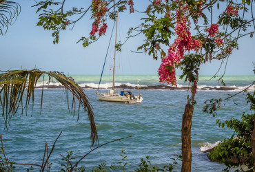 Las mejores zonas donde alojarse en Santa Marta, Colombia