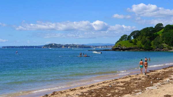 North Shore - Best areas to stay in Auckland