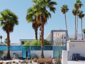 Las mejores zonas donde alojarse en Palm Springs, California