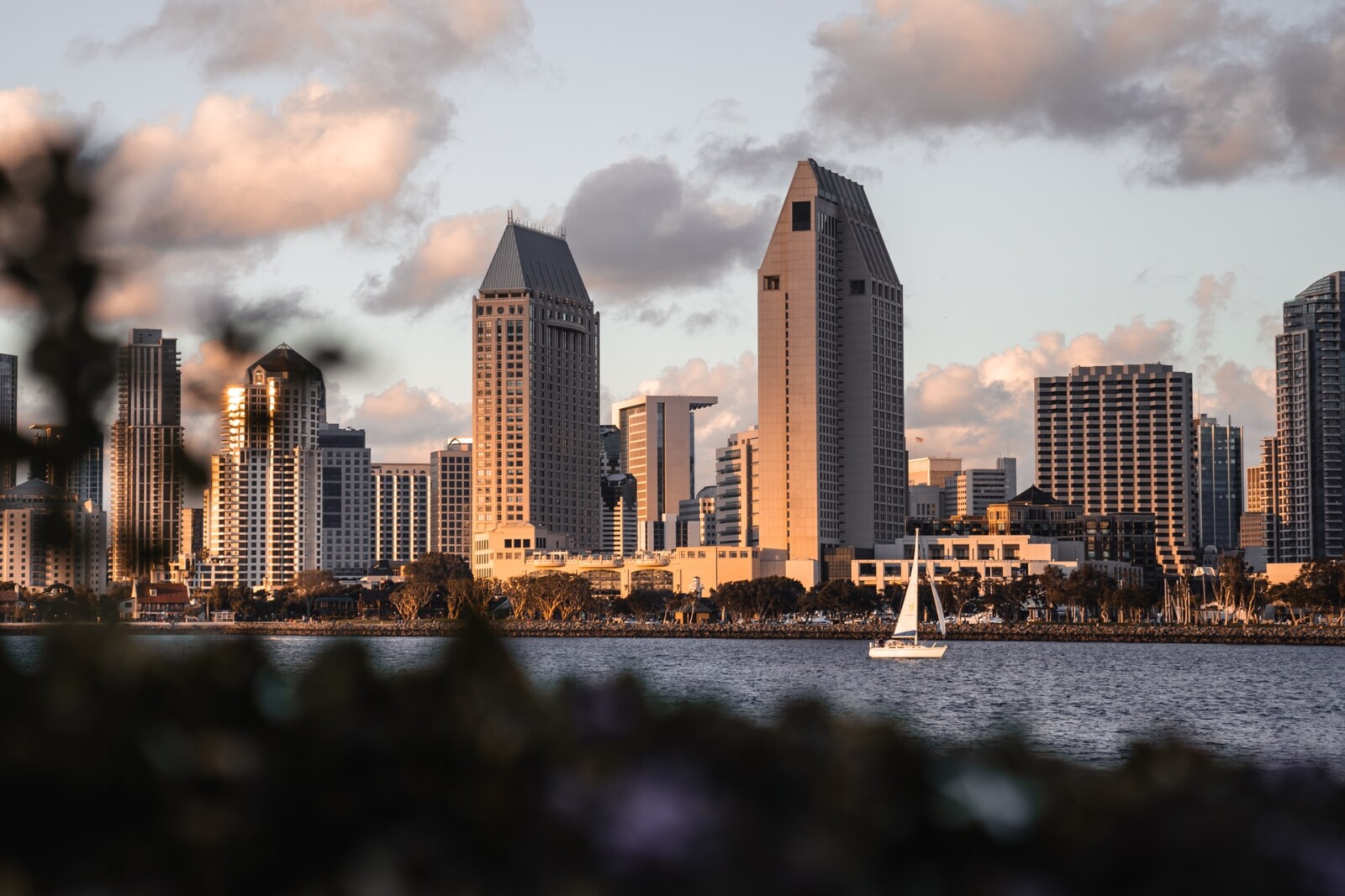 Las mejores zonas donde alojarse en San Diego, California