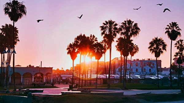 Dónde alojarse en los Ángeles- Venice Beach