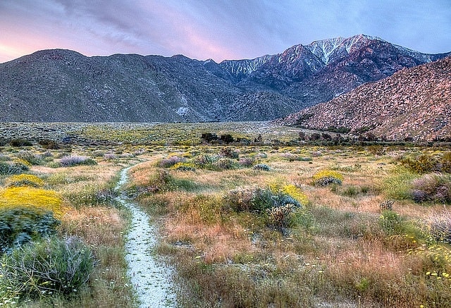 San Jacinto Mountain - Mejores zonas donde hospedarse en Coachella Valley & Palm Springs