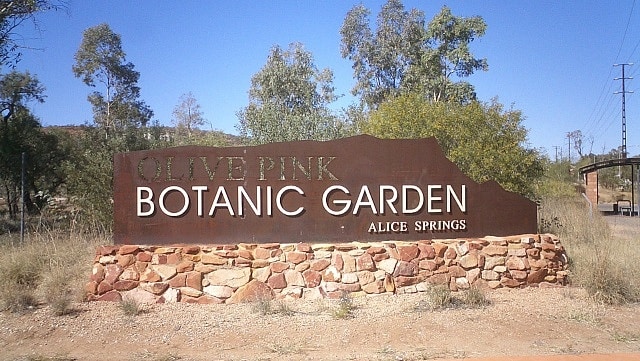 Where to stay in Alice Springs - Desert Springs