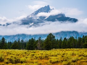 Las mejores zonas donde alojarse en el parque nacional Yellowstone, EEUU