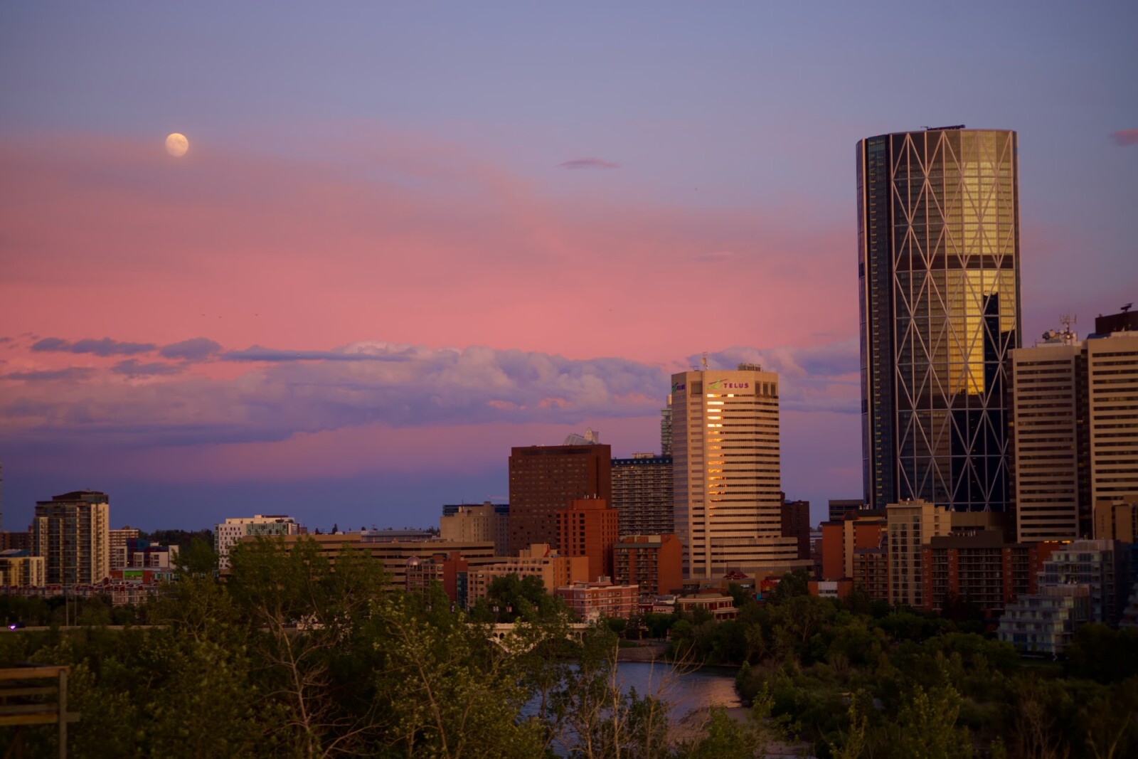 Las mejores zonas donde alojarse en Calgary, Alberta