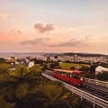 Las mejores zonas donde alojarse en Wellington, Nueva Zelanda