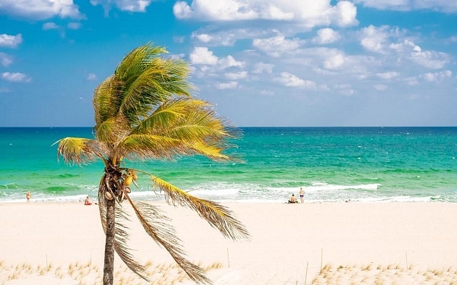 Where to stay in Fort Lauderdale - Lauderdale By-the-Sea