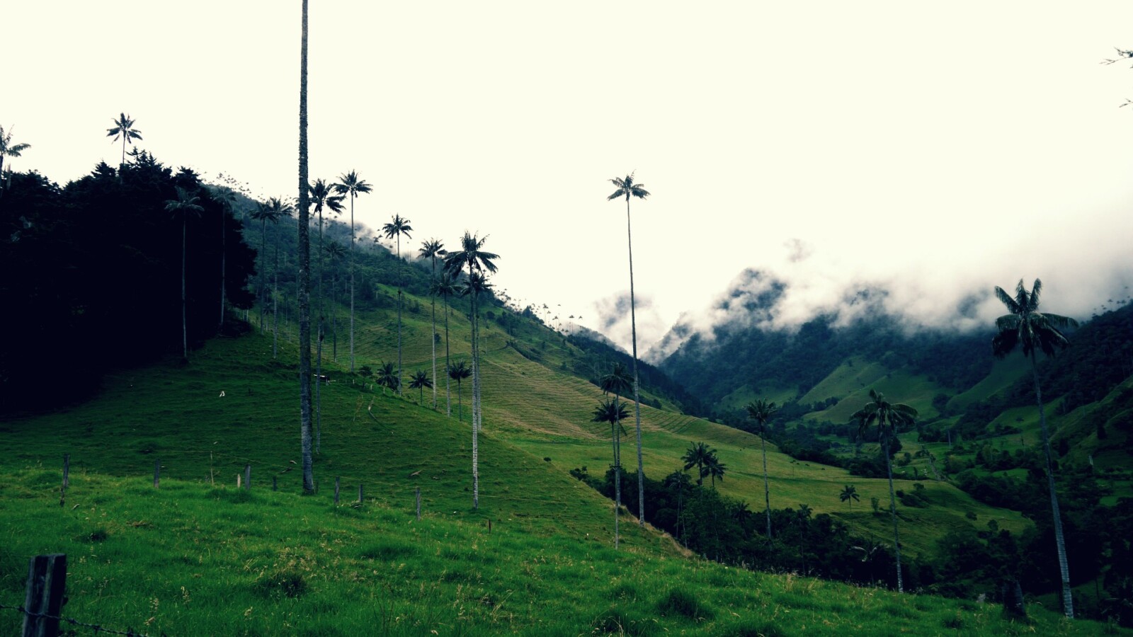 Las mejores zonas donde alojarse en Salento y el Valle del Cocora, Colombia