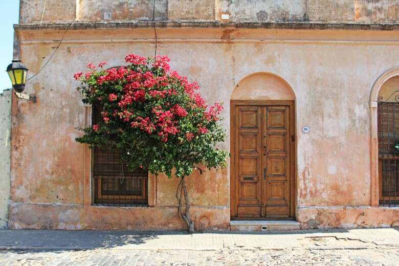 Las mejores zonas donde alojarse en Colonia del Sacramento, Uruguay