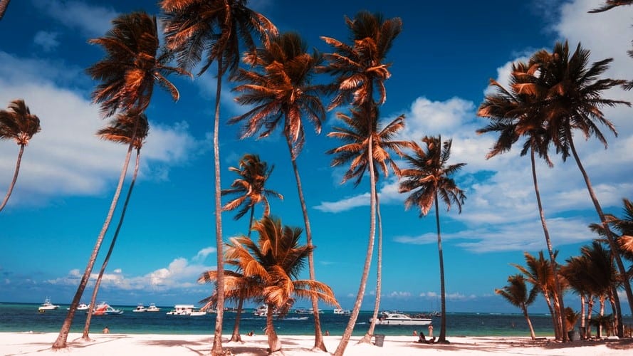Mejores zonas donde alojarse en Punta Cana, República Dominicana - Playa Bávaro