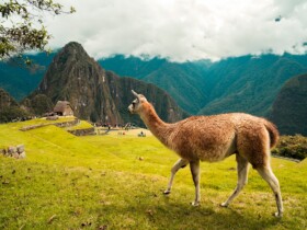 Las mejores zonas donde alojarse cerca de Machu Picchu, Perú