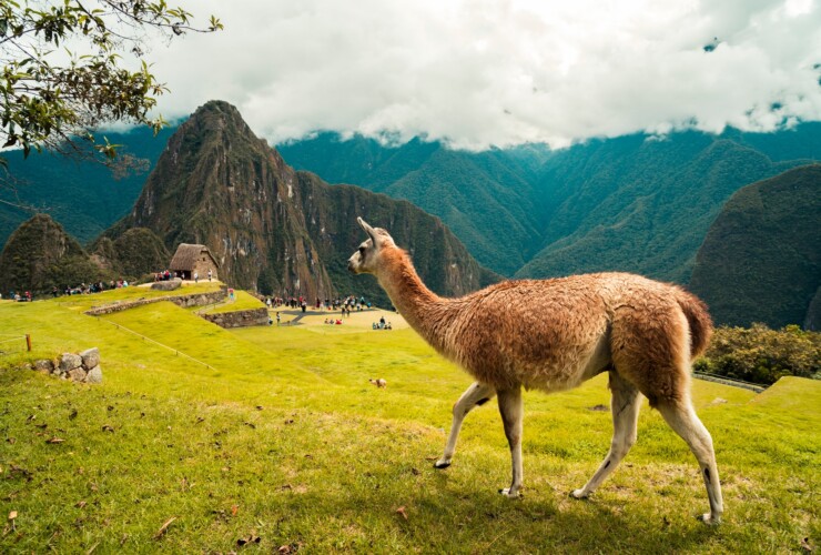 Las mejores zonas donde alojarse cerca de Machu Picchu, Perú