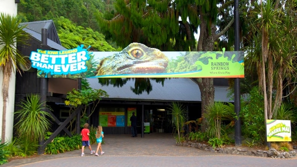 Dónde hospedarse en Rotorua - Rainbow Springs Kiwi Wildlife Park