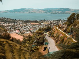 Las mejores zonas donde alojarse en Rotorua, Nueva Zelanda