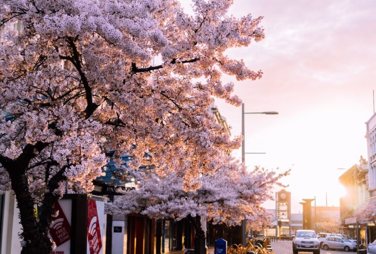 Las mejores zonas donde alojarse en Invercargill, NZ