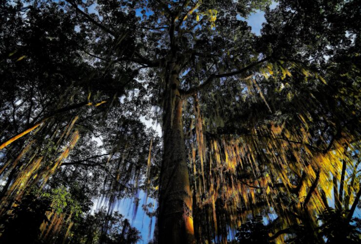 Las mejores zonas donde alojarse en San Gil, Colombia