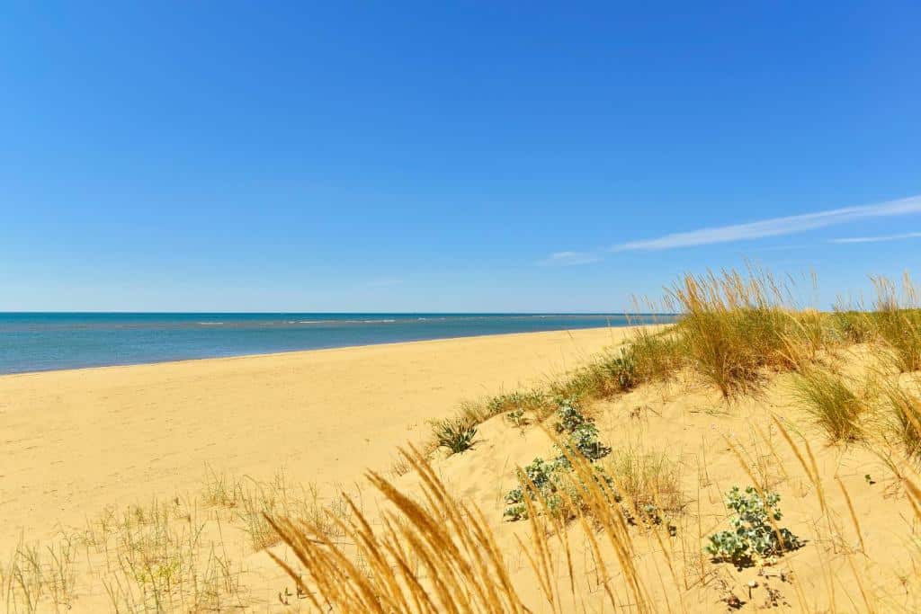 Isla Canela is the best area to stay on the Huelva coast