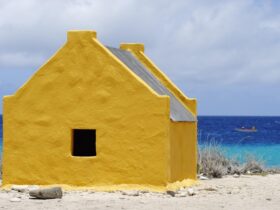 Dónde alojarse en Bonaire