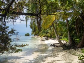 Dónde alojarse cerca del Parque Nacional Morrocoy, Venezuela